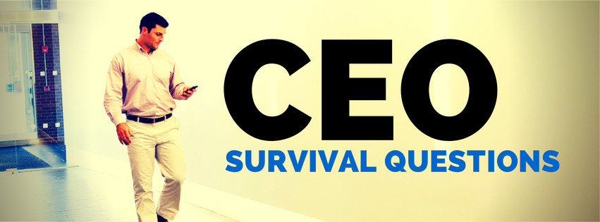 CEO Survival Questions